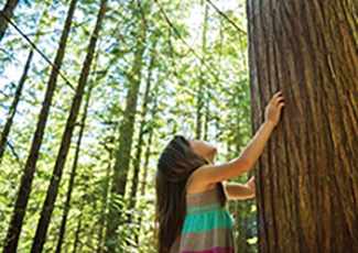 Girl touching a tree in the forest