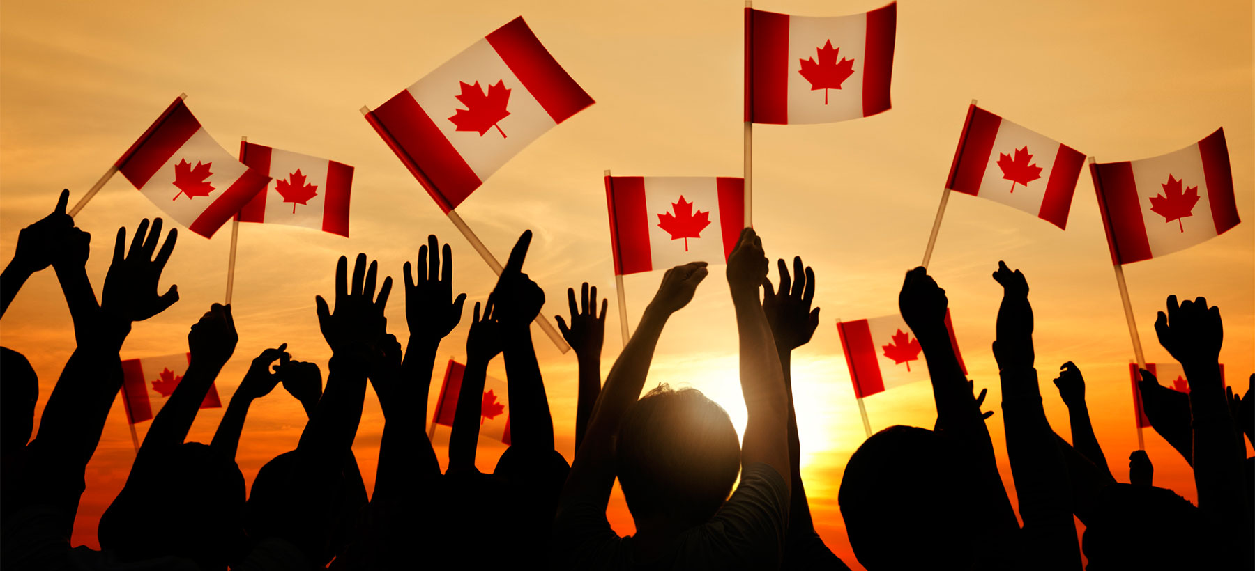 hands holding Canadian flags up in the air