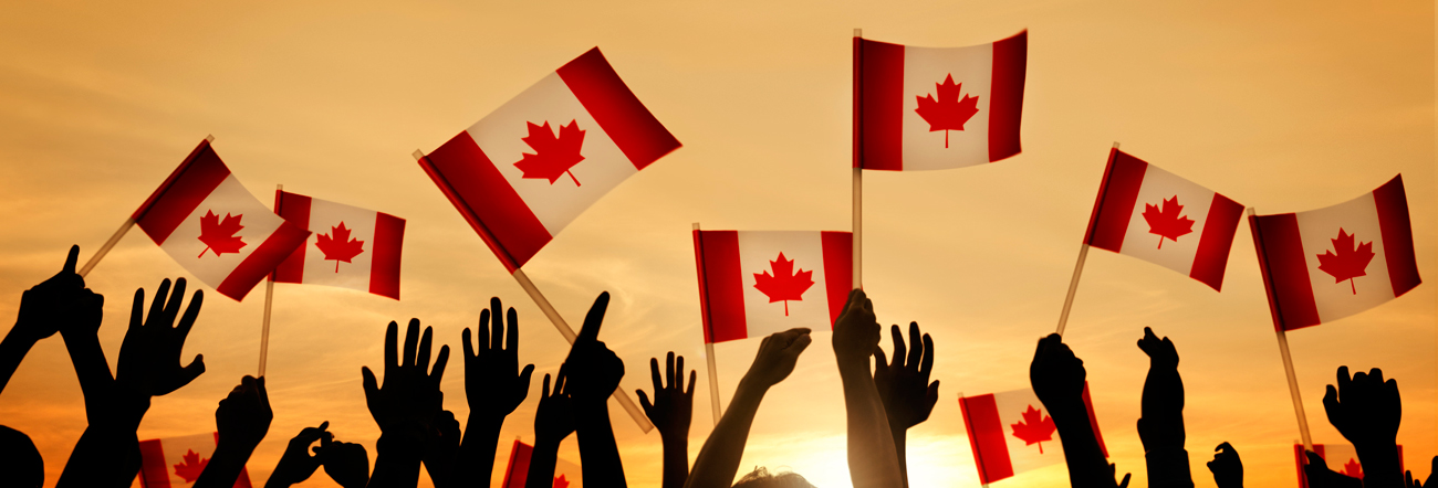 Hands holding Canadian flags in the air