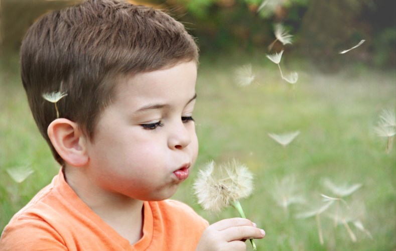 young boy blowing the seeds off a dandelion