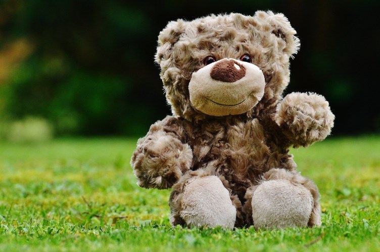 Brown teddy bear sitting on grass outside, waving
