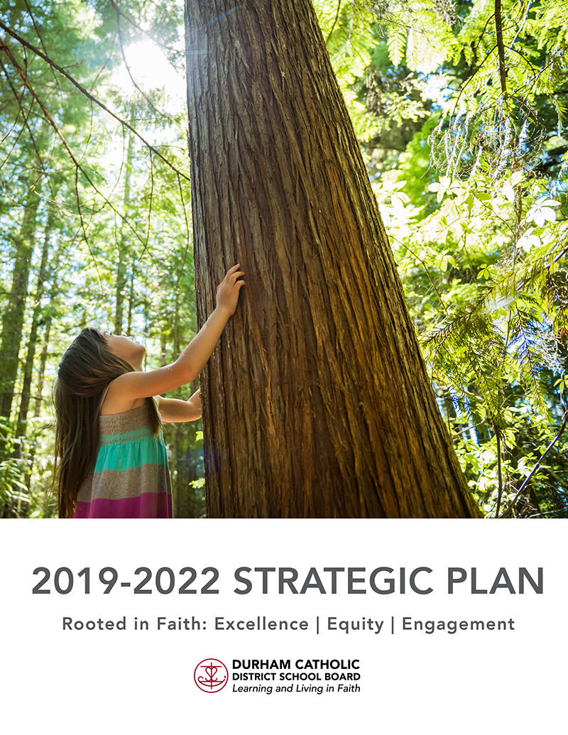 Strat Plan cover with girl holding tree trunk and looking up ato the sun shining through trees