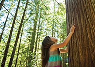 girl touching a tree and looking up to the sky