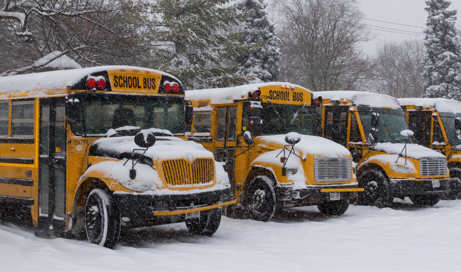 School buses covered in snow
