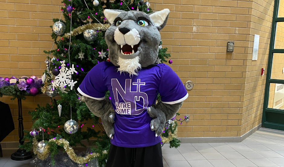 Notre Dame mascot Kai the Cougar posing in front of a Christmas Tree