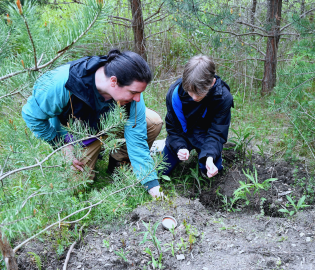 two people reviewing a plant