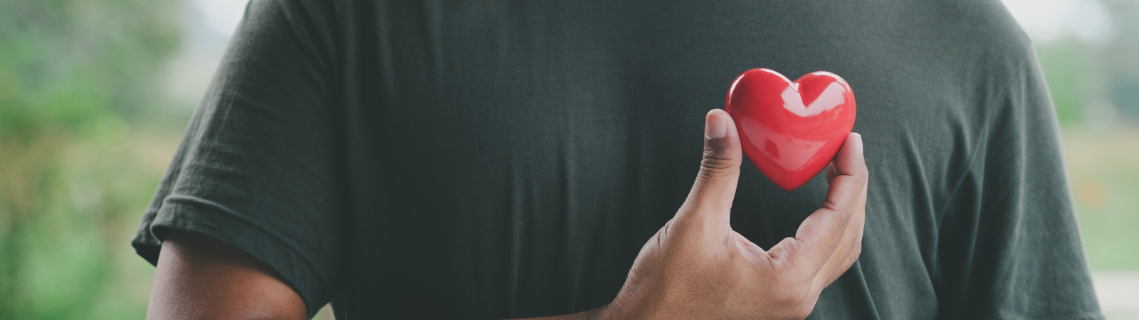 person holding a heart