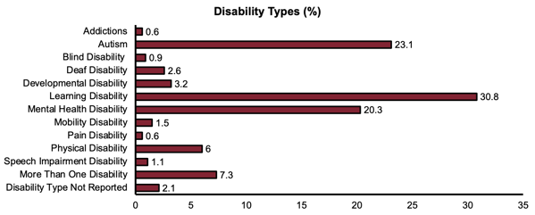 Disability Types by percentage