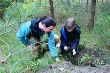 two people looking at a plant up close