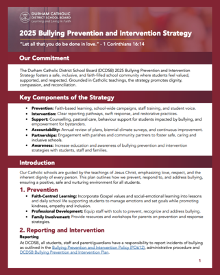 Bullying Prevention Strat